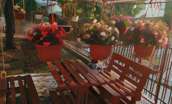 Apartments Grande House