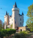 Château Saint-Chartier Hotel di Neuvy-Saint-Sepulchre