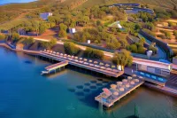 Assos Dionysos Special Class Hotel Adults Only 12 Years Hotels in Balabanli