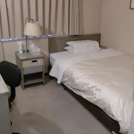 Tsuyama Central Hotel Annex