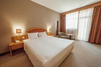 Hotel Vianorte Hotels in Folgosa