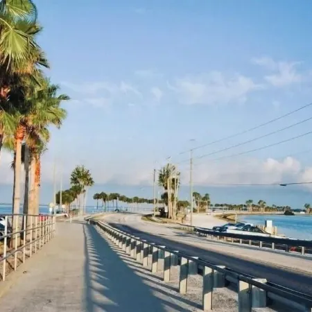 Beautiful Condo in Dunedin. 5 min from the beach!