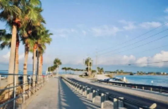 Beautiful Condo in Dunedin. 5 min from the beach!