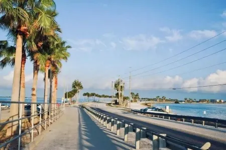 Beautiful Condo in Dunedin. 5 min from the beach! Отели рядом с достопримечательностью «Oasis Beach»