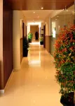 Hotel Mayo Hotels in Wayanad