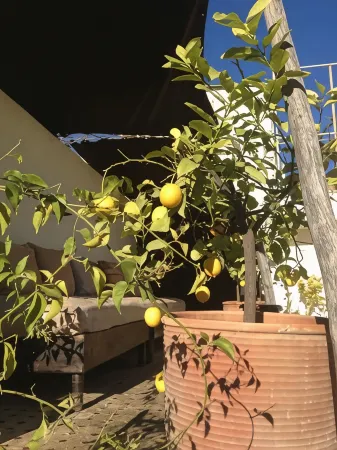 Riad Tizwa Fes Отели рядом с достопримечательностью «Merinide Necropole»