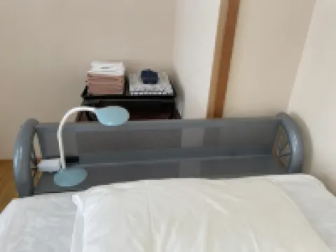 Kawaguchiko Station Inn