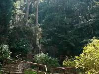 Hotel Platanus Hotels in Campos do Jordão