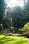 Hotel Platanus