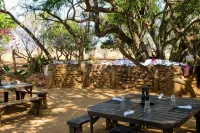 Honeyguide Ranger Camp Hotels in Waterberg