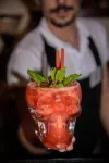 Hotel Astron Princess - bar