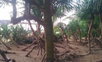Ravana - Beach Cabanas