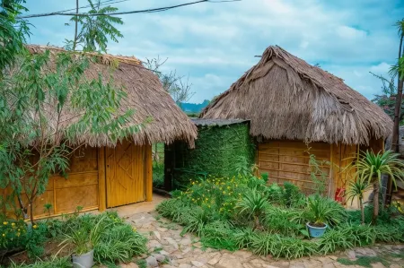 Sakura House - Vuon Dao