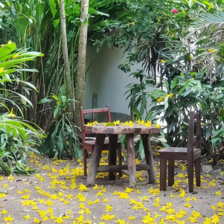 Colibri Apartments - Private Kitchen & Bathroom - 4 Min Walk to the Beach!