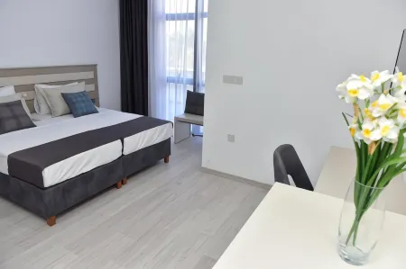 阿利亞客房飯店