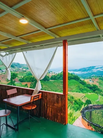 รูปภาพของไร่ดอยช้าง ม่อนเเจ่ม