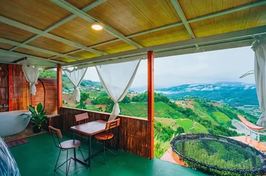 รูปภาพของไร่ดอยช้าง ม่อนแจ่ม