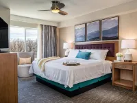 Homewood Suites by Hilton Salt Lake City-Downtown Hotels near Salt Lake Central Station