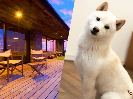 Color Palette Sorahaku COTON -TOMA Rutto Отели рядом со станцией JR Kan'onji station