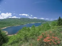 Shiriyakionsen Hotel Kozanso Hotels near Shibu Mountain Pass Romance Lift.