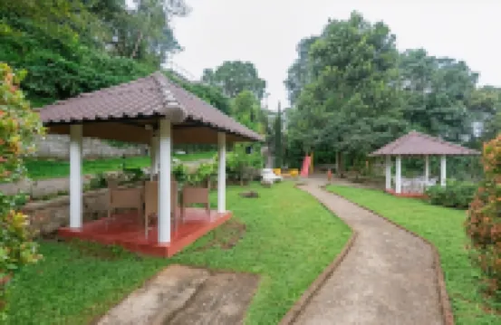 Hotel Treetop