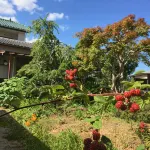 Masugataya Ryokan - Bintang 2