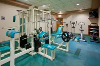 Holiday Inn LA PIEDAD by IHG - Phòng tập thể hình