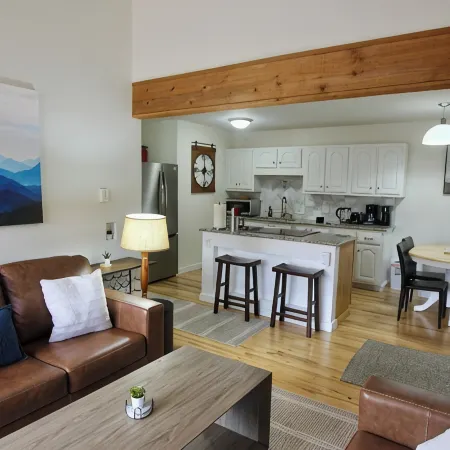 Renovated Condo, Avon Colorado, River Views and walk to Beaver Creek Shuttle