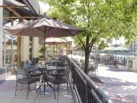 Sheraton Grand Chicago Riverwalk - Scenic