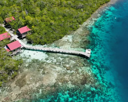 Cozzy Raja Ampat Blue Sea Hotele w: Meos Mansar