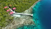 Cozzy Raja Ampat Blue Sea - Morgenmad