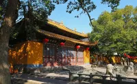 Putuo Mountain Yunyi Inn (Putuo Mountain Wharf Shop)