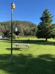 Spring Creek Inn