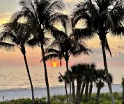 Enjoy a Poolside Luxury Condo and Dock, & Only a 3 Min Walk to Vanderbilt Beach. - Gym