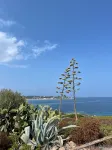 Apartment Benvenuti Calvi the beach with feet with 3 min, terrace, carpark, swimming pool - 3 星級