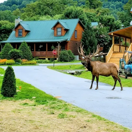 2 Master Suites - Clean - Cozy - WiFi - Elk - Covered Porch - ezAccess - 5 Stars