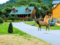 2 Master Suites - Clean - Cozy - WiFi - Elk - Covered Porch - ezAccess - 5 Stars
