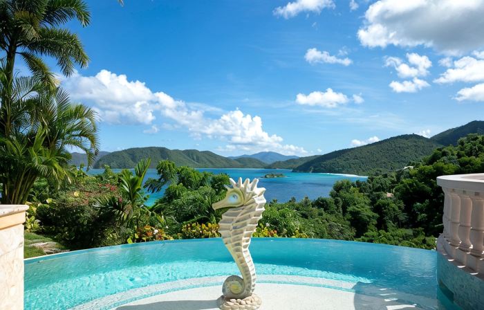 Villa Delfina- Private Beach! Spacious 5 Bedroom Villa in Lower Peter Bay!