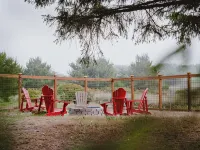 Remodeled Copalis Beach cottage with fully fenced yard Hotels in Copalis Beach