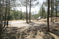 Remodeled Cabin. New Central Air… - Chalets