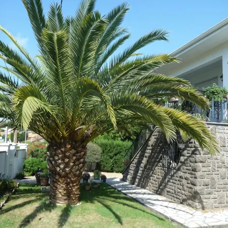 Spacious apartment in villa with large private garden and terrace near the sea