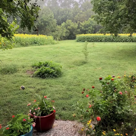 Sunflower/Mushroom Farmhouse just 6 minutes from Lawrence"Wakarusa Valley Farm"
