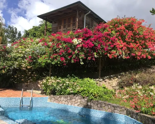 Private Honeymoon Villa with View Of Caribbean & Piton Mountains, Full Service Hotels in Malgretoute