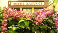 Albergo Natucci - 2-Star