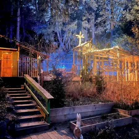 Secluded mystical cabin in Idyllwild-Pine Cove