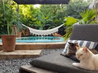 Nomada Hostel - piscine