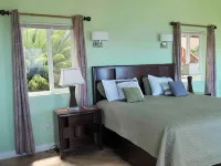 Luxury 1 Bedroom Penthouse with Stunning Ocean Views