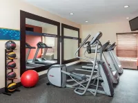 Hampton Inn Youngstown/Boardman - Gym
