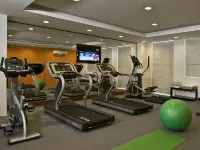 Red Fox by Lemon Tree Hotels, Bhiwadi - Gym