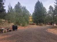 Secluded CO retreat featuring a swim spa, hiking trail and stocked kitchen!